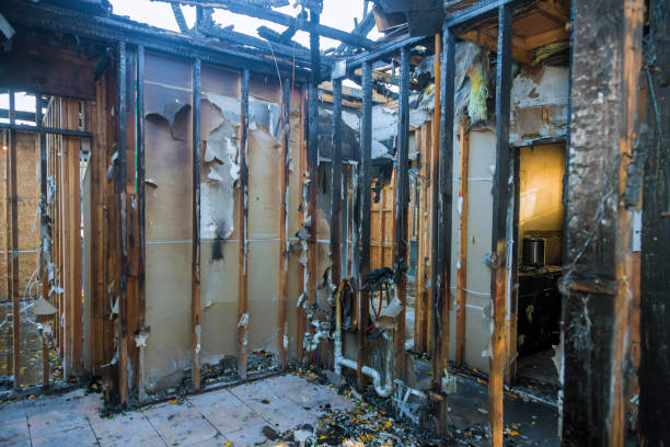 Professional Fire Damage Removal technician working in Dresser, WI